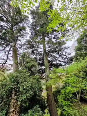 熊野神社(神奈川県)