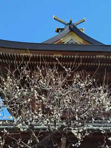 湯島天満宮(東京都)
