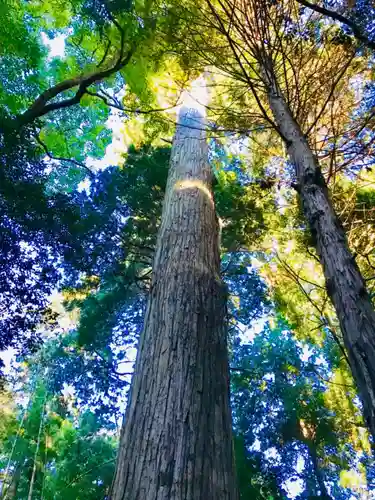 阿弥神社の手水舎