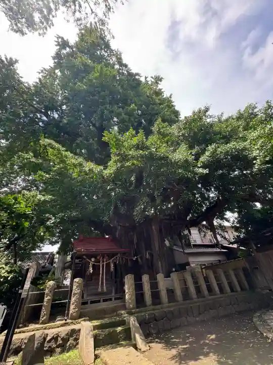 宮城野八幡神社(宮城県)