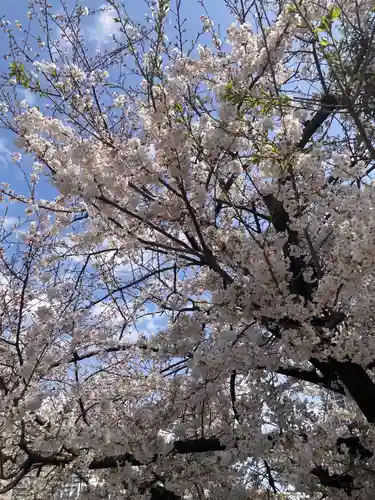 住吉神社(東京都)