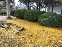 福井神社(福井県)