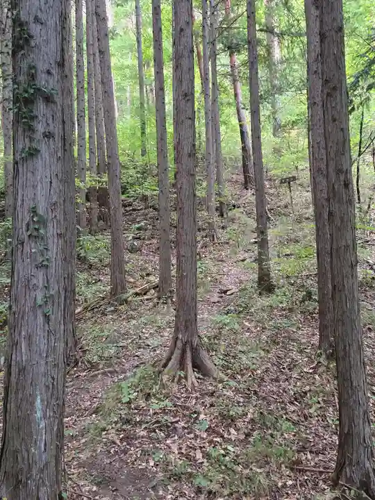 岩戸神社(長野県)