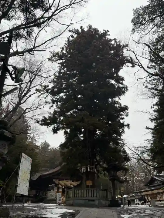 諏訪大社下社秋宮の{uncategorized: "未分類", other: "その他", undefined: "問題あり", building: "その他建物", grave: "お墓", sacred_gate: "鳥居", guardian: "狛犬", statue: "像", buddha: "仏像", history: "歴史", nature: "自然", garden: "庭園", animal: "動物", pagoda: "塔", temizu: "手水舎", mountain_gate: "山門・神門", sanctuary: "本殿・本堂", subordinate: "末社・摂社", art: "芸術", scenery: "景色", jizo: "地蔵", ema: "絵馬", goshuin: "御朱印", omikuji: "おみくじ", items: "授与品その他", amulet: "お守り", goshuincho: "御朱印帳", eats: "食事", festival: "お祭り", votive_dance: "神楽", shichigosan: "七五三参", wedding: "結婚式", experience: "体験その他", initially: "初詣", around: "周辺", anti_infection: "感染症対策"}