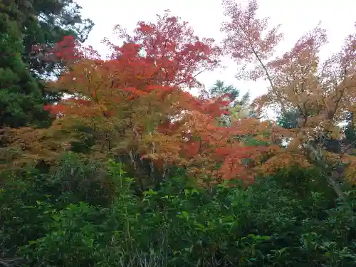 厳島神社(広島県)