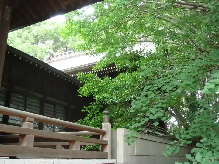 葛飾八幡宮の本殿・本堂