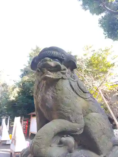 中山神社の狛犬