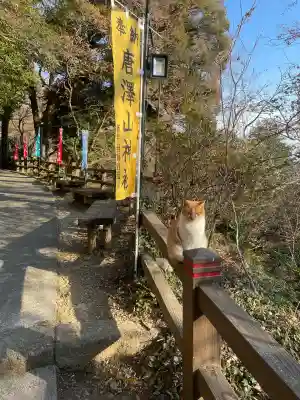 唐澤山神社の{uncategorized: "未分類", other: "その他", undefined: "問題あり", building: "その他建物", grave: "お墓", sacred_gate: "鳥居", guardian: "狛犬", statue: "像", buddha: "仏像", history: "歴史", nature: "自然", garden: "庭園", animal: "動物", pagoda: "塔", temizu: "手水舎", mountain_gate: "山門・神門", sanctuary: "本殿・本堂", subordinate: "末社・摂社", art: "芸術", scenery: "景色", jizo: "地蔵", ema: "絵馬", goshuin: "御朱印", omikuji: "おみくじ", items: "授与品その他", amulet: "お守り", goshuincho: "御朱印帳", eats: "食事", festival: "お祭り", votive_dance: "神楽", shichigosan: "七五三参", wedding: "結婚式", experience: "体験その他", initially: "初詣", around: "周辺", anti_infection: "感染症対策"}