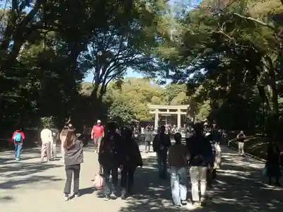 明治神宮(東京都)