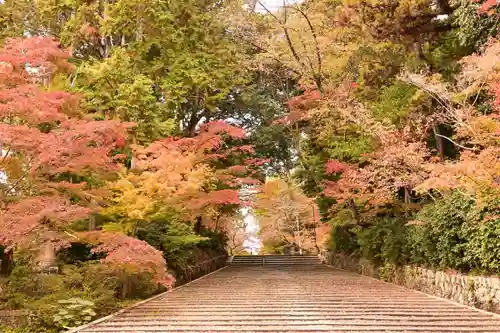 光明寺（粟生光明寺）(京都府)