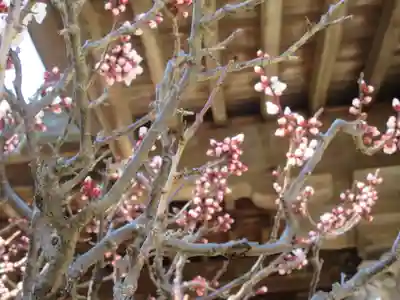 極楽寺（霊鷲山感應院極楽律寺）のその他建物