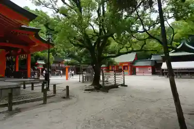 住吉神社のその他建物
