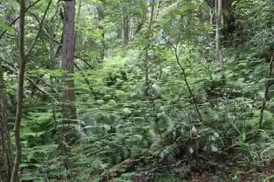 桑實寺(滋賀県)