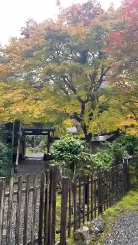 常照皇寺(京都府)