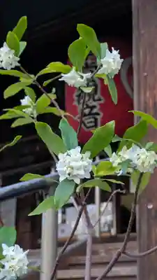 行願寺（革堂）(京都府)