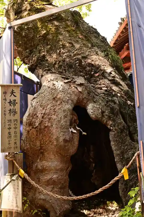 生島足島神社(長野県)