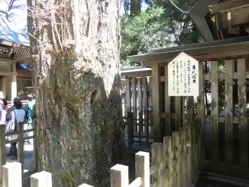 天岩戸神社(宮崎県)