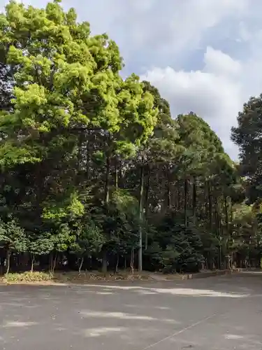 両社宮神社（宮町）の自然