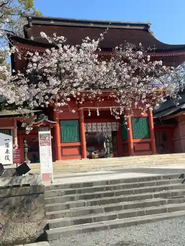 富士山本宮浅間大社(静岡県)