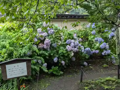 英勝寺(神奈川県)