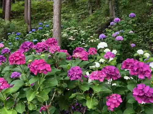 長谷寺(長野県)