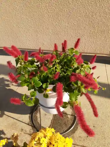 伏木香取神社(茨城県)