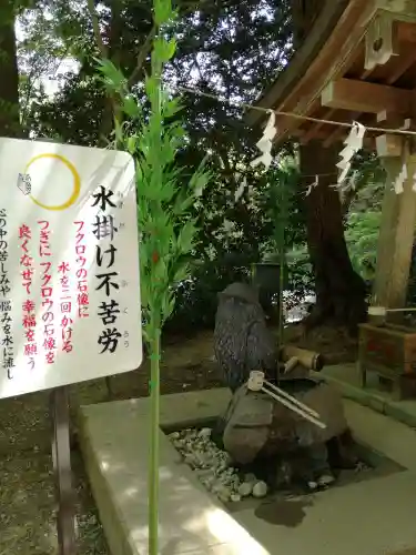 鷲子山上神社の歴史