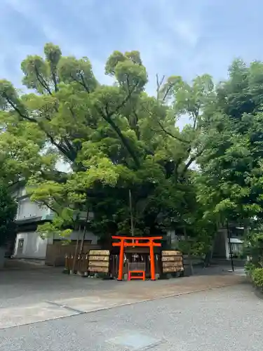 富知六所浅間神社の自然