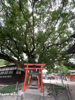 佐嘉神社・松原神社(佐賀県)