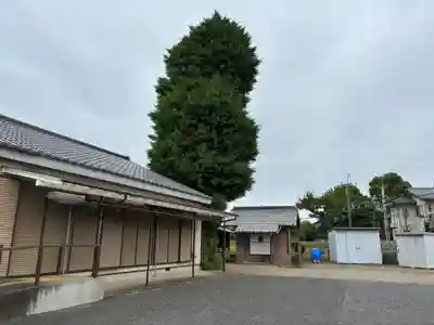 大杉神社(千葉県)
