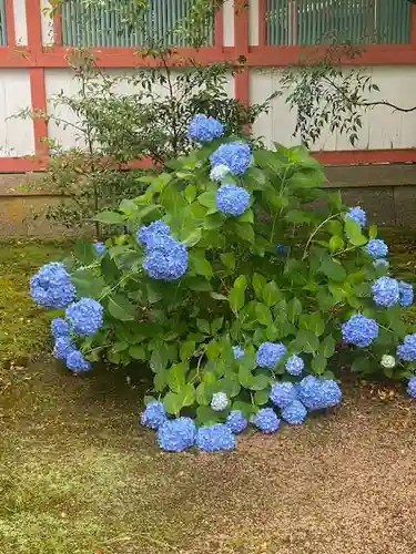 出石神社(兵庫県)