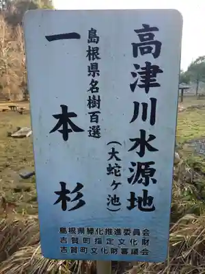 一本杉神社(島根県)