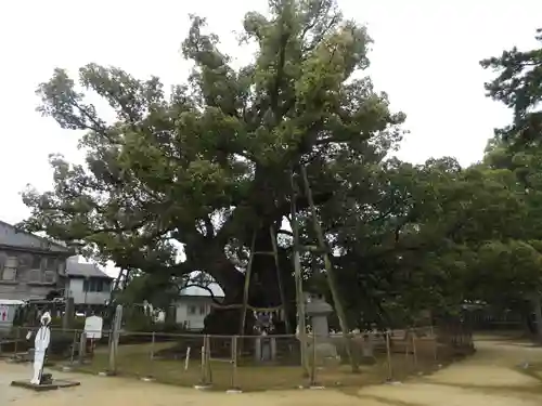 善通寺(香川県)