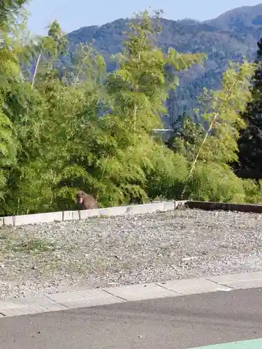 中山寺(福井県)