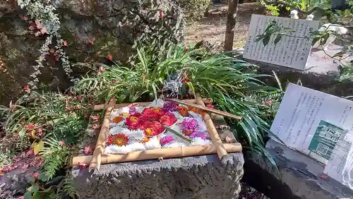 武田神社の庭園