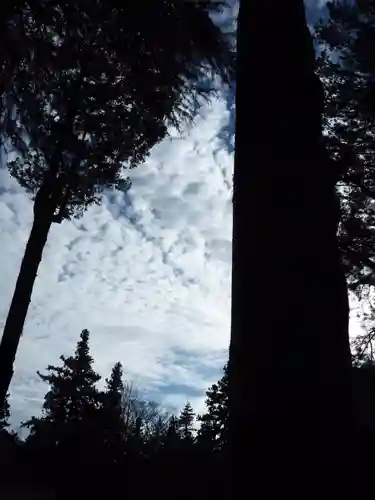 諏訪大社下社秋宮の自然