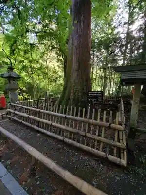 雲巌寺(栃木県)