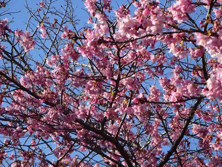 かっぱの寺 栖足寺の自然
