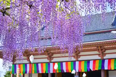 西新井大師総持寺(東京都)