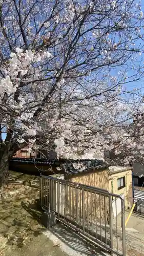 光明寺の{uncategorized: "未分類", other: "その他", undefined: "問題あり", building: "その他建物", grave: "お墓", sacred_gate: "鳥居", guardian: "狛犬", statue: "像", buddha: "仏像", history: "歴史", nature: "自然", garden: "庭園", animal: "動物", pagoda: "塔", temizu: "手水舎", mountain_gate: "山門・神門", sanctuary: "本殿・本堂", subordinate: "末社・摂社", art: "芸術", scenery: "景色", jizo: "地蔵", ema: "絵馬", goshuin: "御朱印", omikuji: "おみくじ", items: "授与品その他", amulet: "お守り", goshuincho: "御朱印帳", eats: "食事", festival: "お祭り", votive_dance: "神楽", shichigosan: "七五三参", wedding: "結婚式", experience: "体験その他", initially: "初詣", around: "周辺", anti_infection: "感染症対策"}