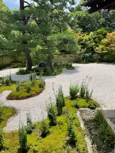 廬山寺（廬山天台講寺）(京都府)