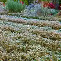 寿量山 速成寺の自然