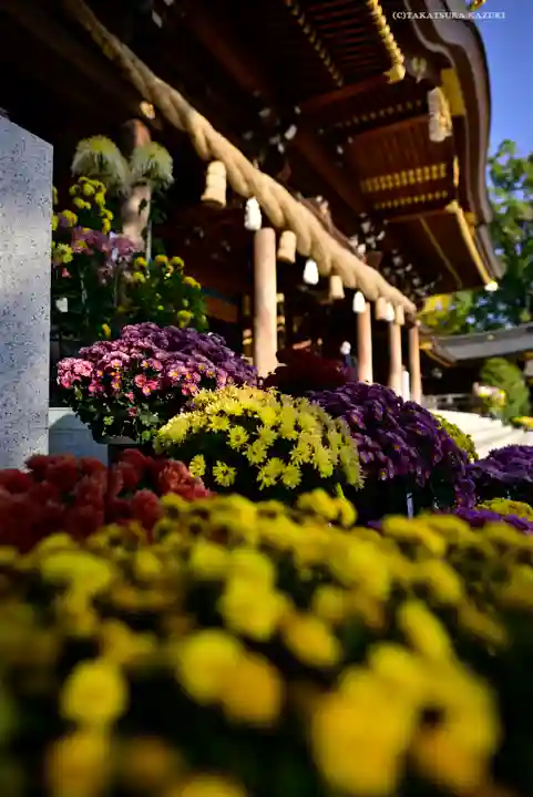 寒川神社(神奈川県)