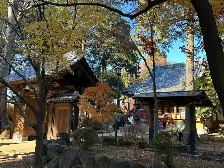 豪徳寺(東京都)