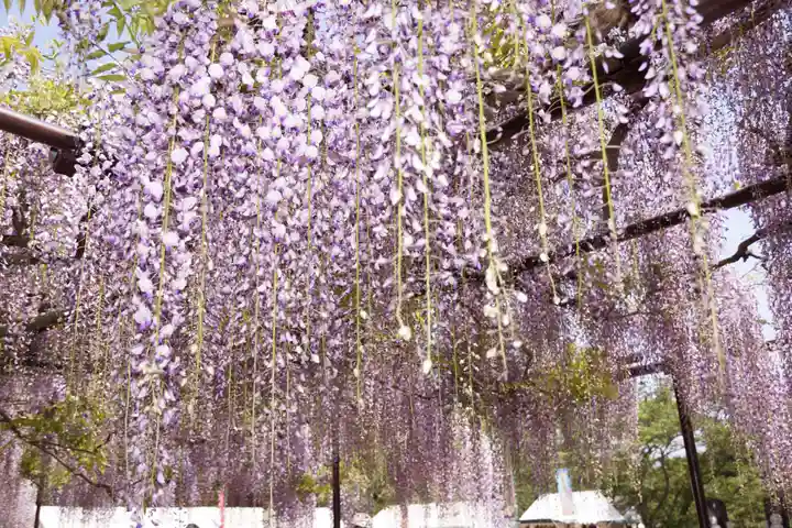 天台宗 五大山 白毫寺(兵庫県)