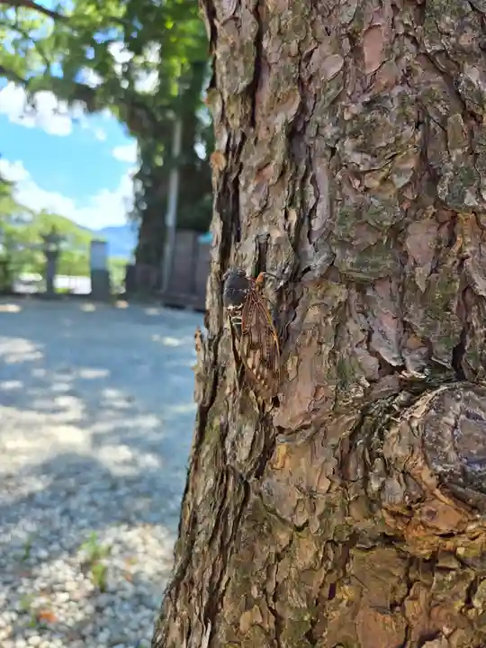 恵蘇八幡宮(福岡県)