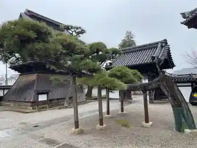 念仏寺(三重県)