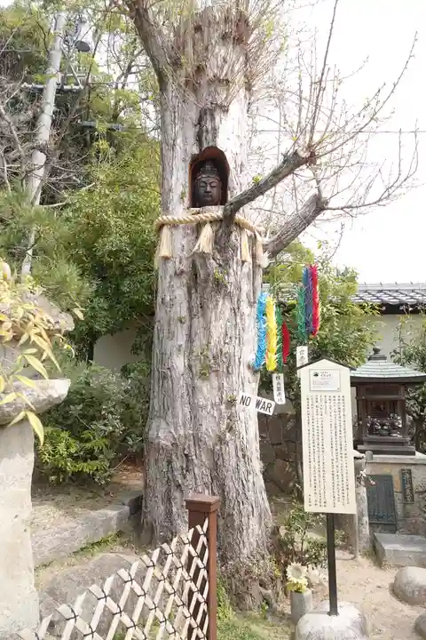 明星院(広島県)