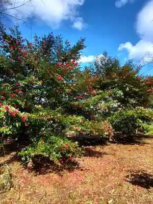神炊館神社 ⁂奥州須賀川総鎮守⁂(福島県)