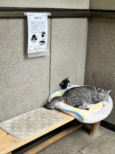 回向院(東京都)